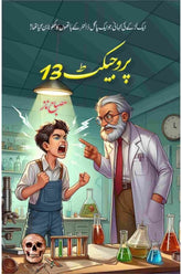 Project 13 | پروجیکٹ 13